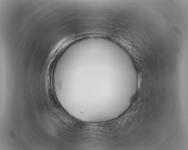 X0000116640339200912140949