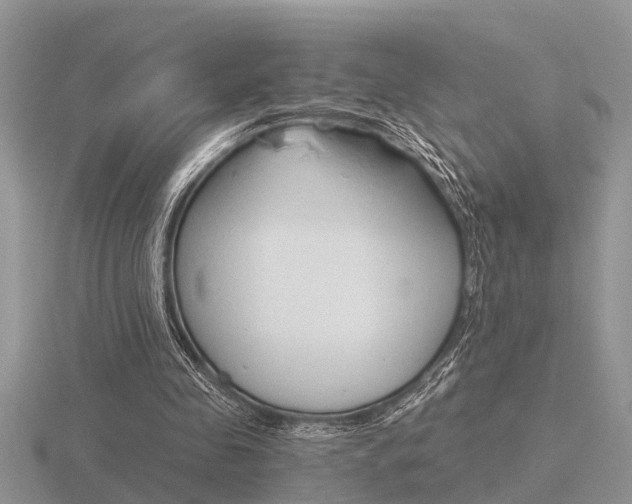 X0000116640341200912140949