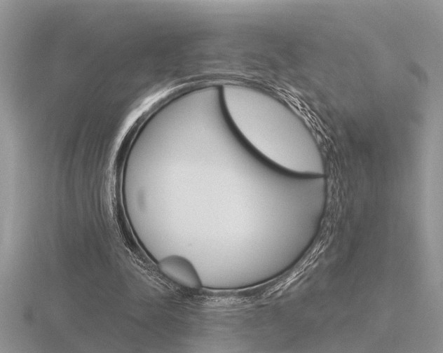 X0000116640342200912140949