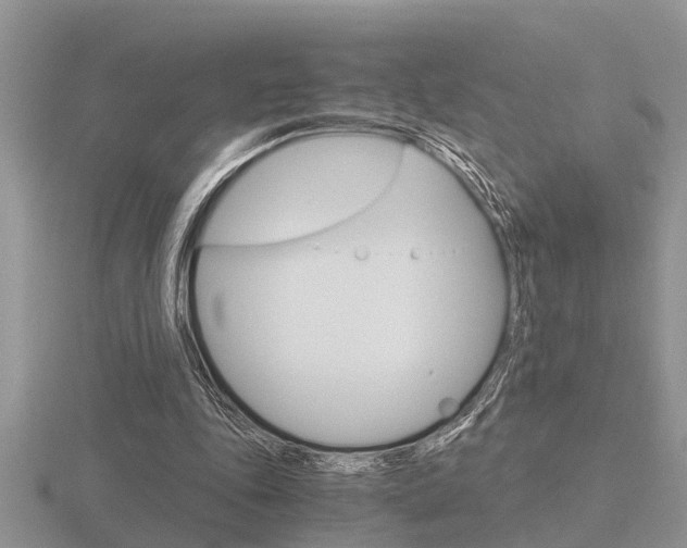 X0000116640343200912140949