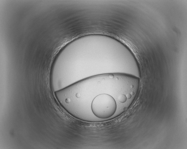 X0000116640345200912140949