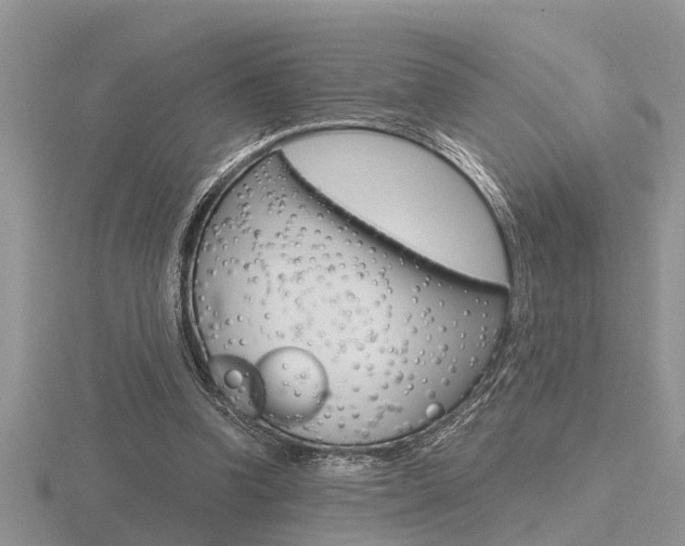 X0000116640346200912140949