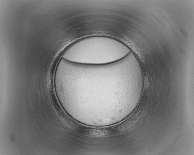 X0000116640347200912140949