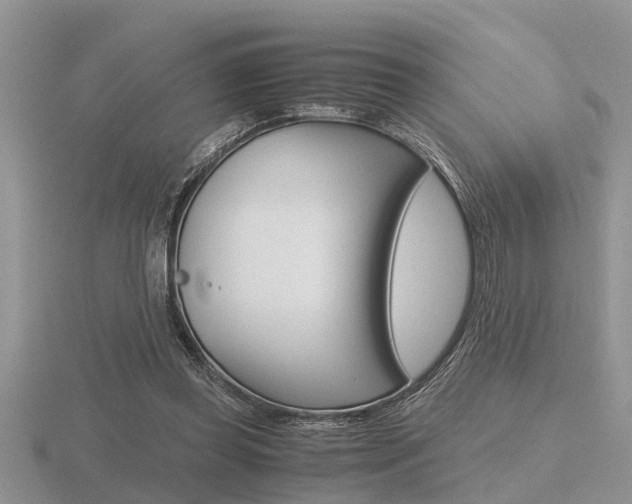 X0000116640349200912140949