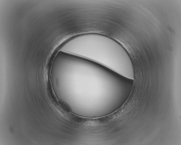 X0000116640350200912140949