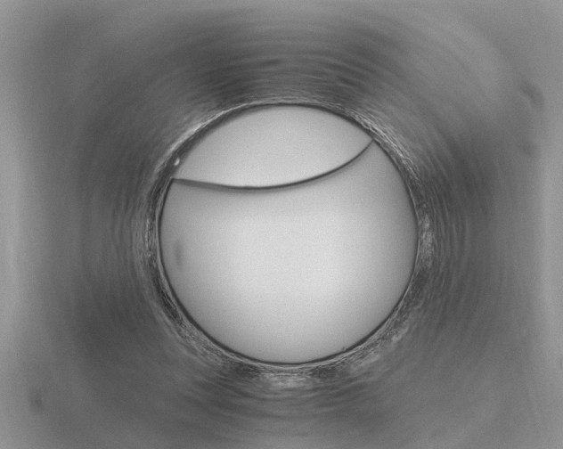 X0000116640351200912140949