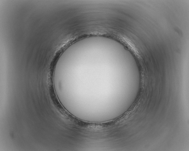 X0000116640354200912140949