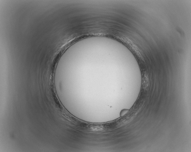 X0000116640355200912140949