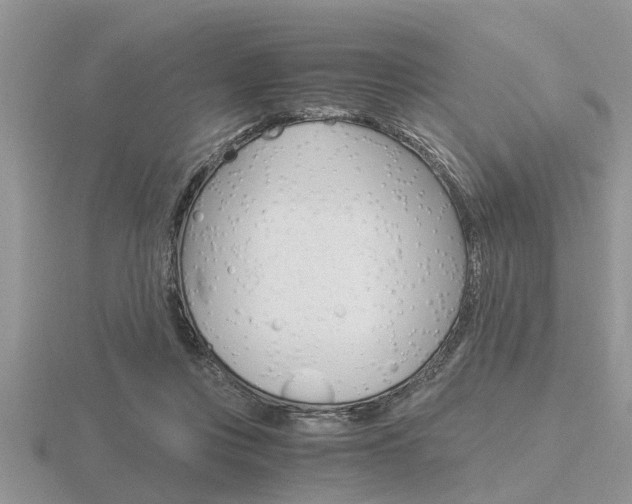 X0000116640359200912140950