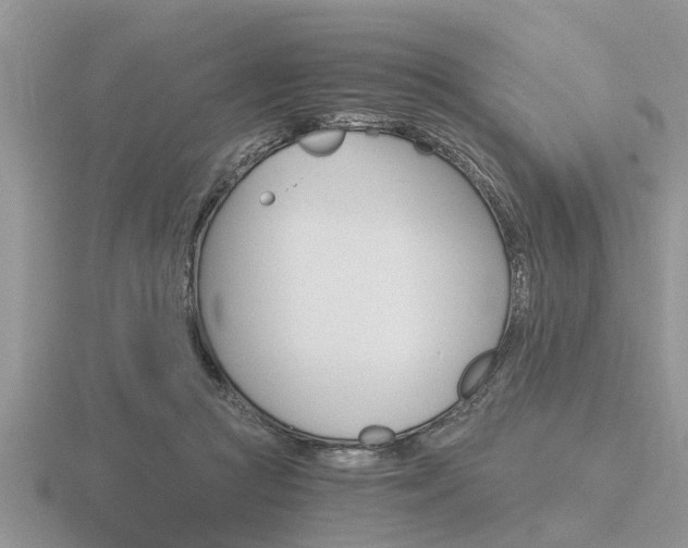 X0000116640361200912140950