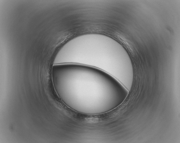 X0000116640362200912140950