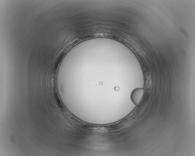 X0000116640363200912140950