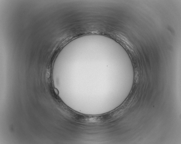 X0000116640365200912140950