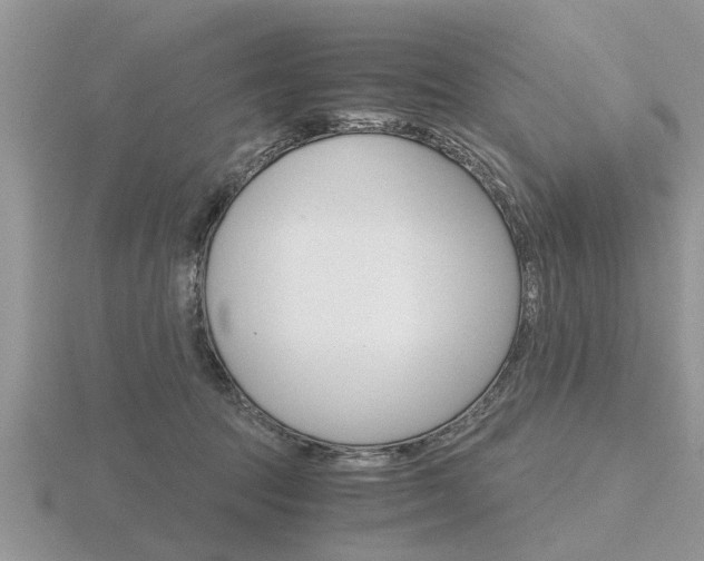 X0000116640369200912140950