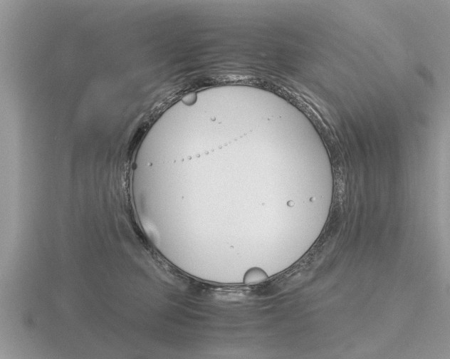 X0000116640373200912140950