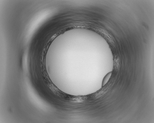 X0000116640381200912140950