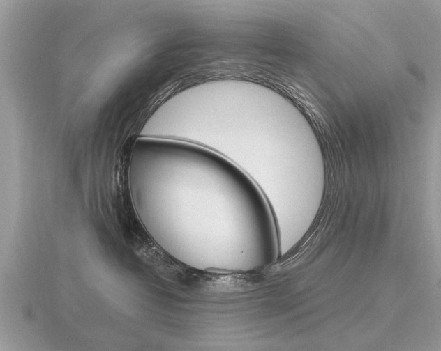 X0000116640382200912140950