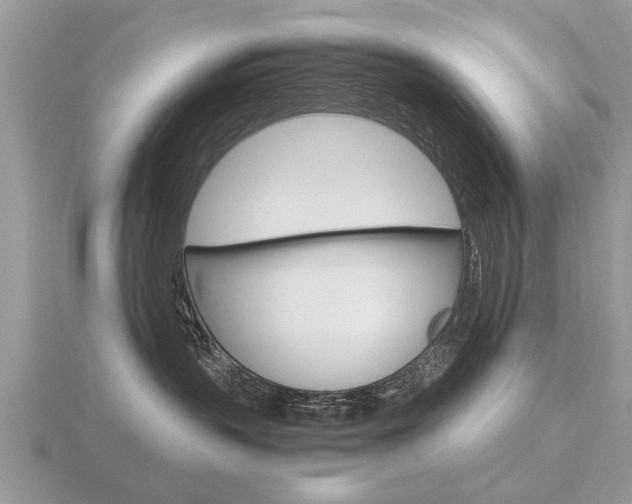 X0000116640383200912140950