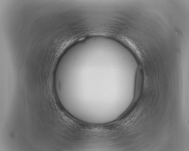 X0000116640385200912140949