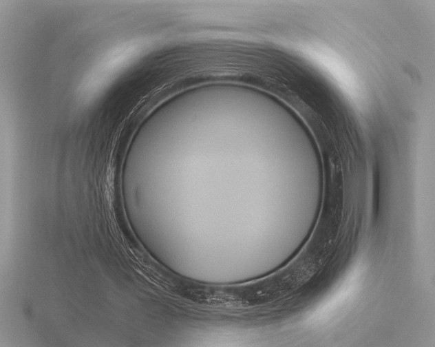 X0000116640387200912140949