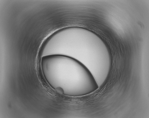 X0000116640388200912140949