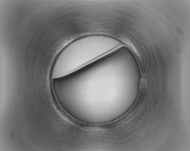 X0000116640389200912140949