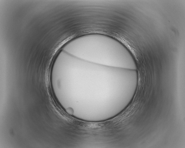 X0000116640390200912140949