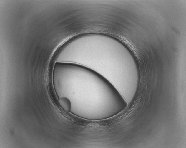 X0000116640392200912140949