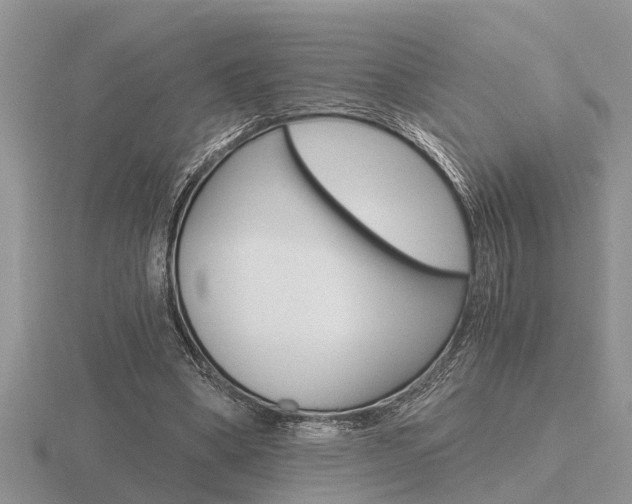 X0000116640394200912140949