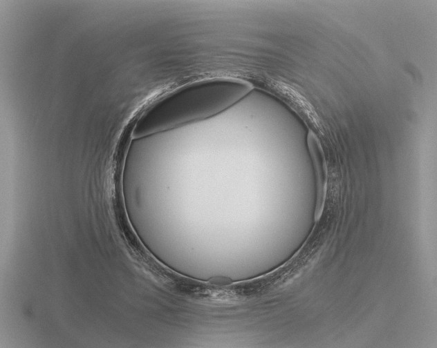 X0000116640395200912140949