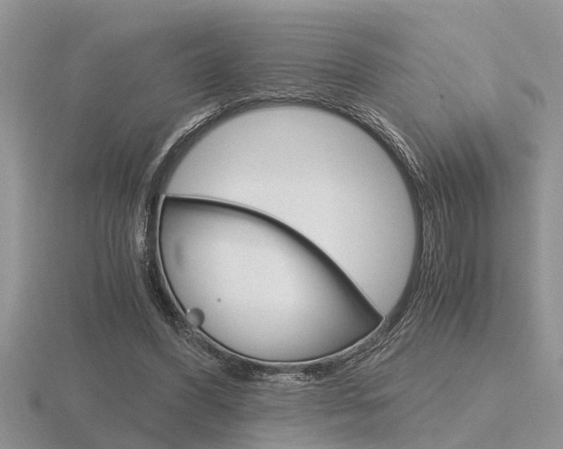 X0000116640396200912140949