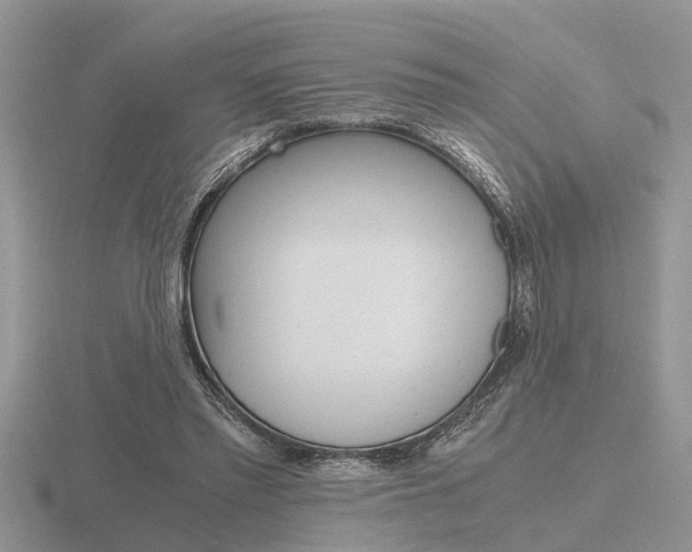 X0000116640397200912140949