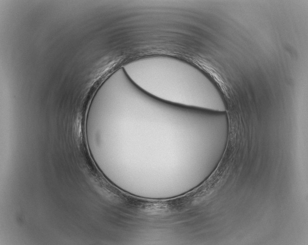 X0000116640398200912140949