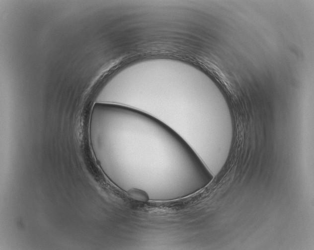 X0000116640400200912140949