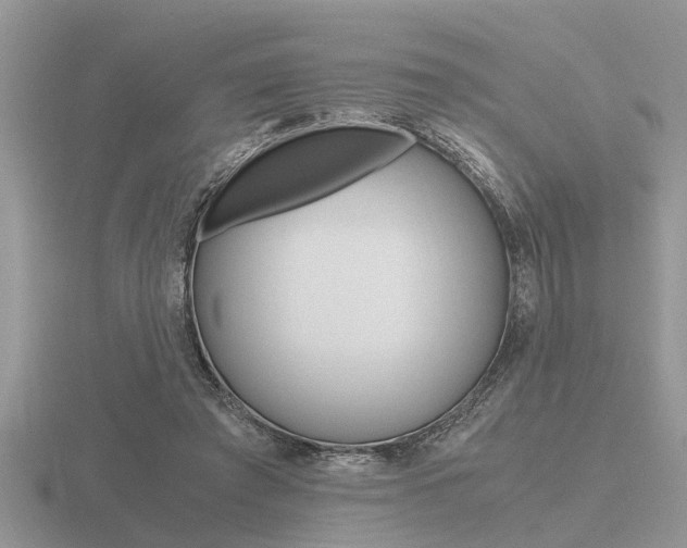 X0000116640401200912140949