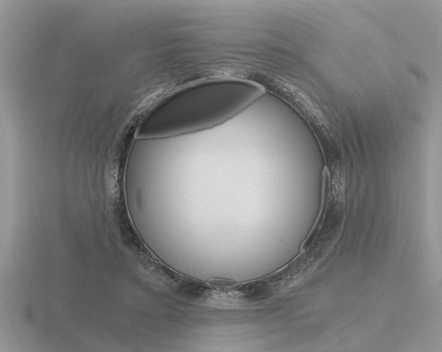 X0000116640403200912140949