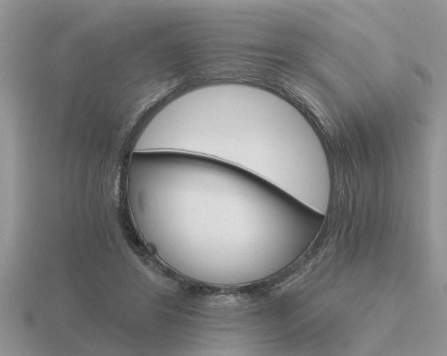 X0000116640404200912140949