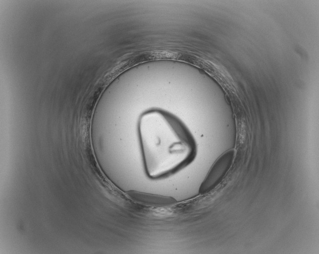 X0000116640409200912140949