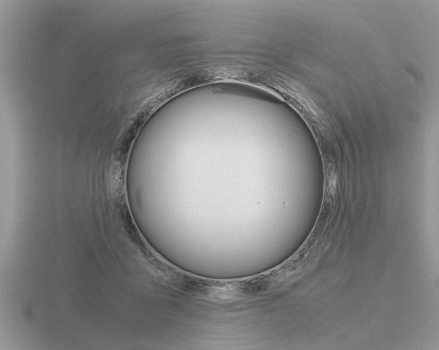 X0000116640411200912140949