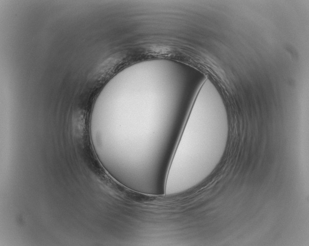 X0000116640412200912140949