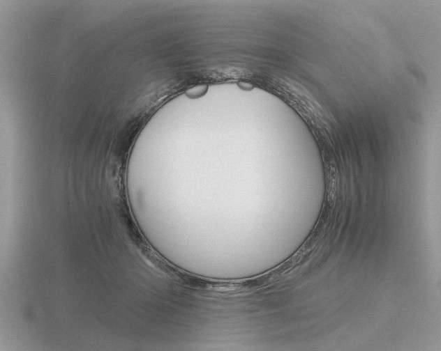 X0000116640414200912140949