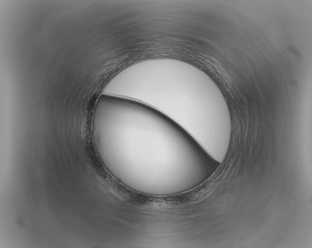 X0000116640416200912140949