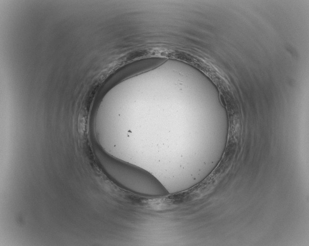 X0000116640417200912140949