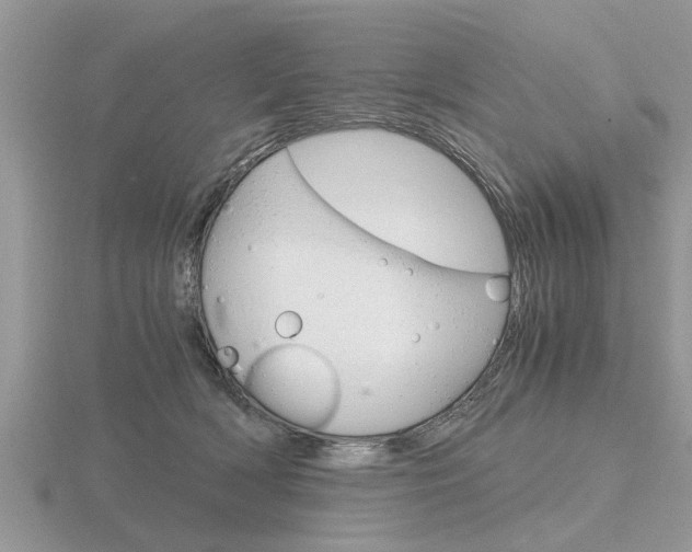 X0000116640418200912140949