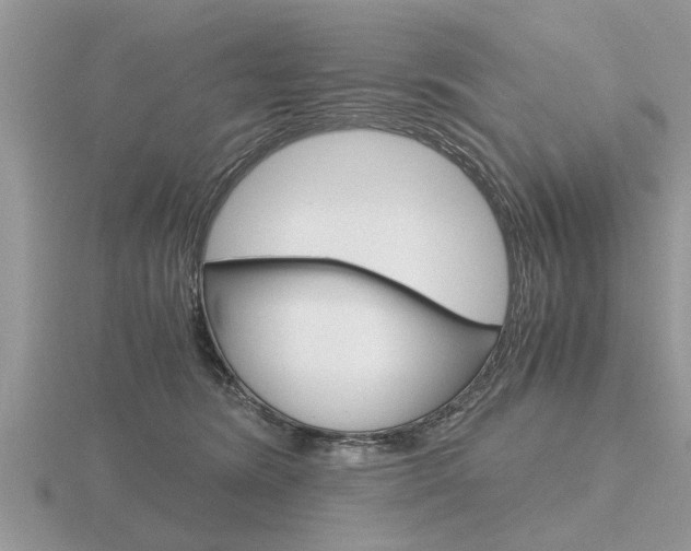 X0000116640420200912140949