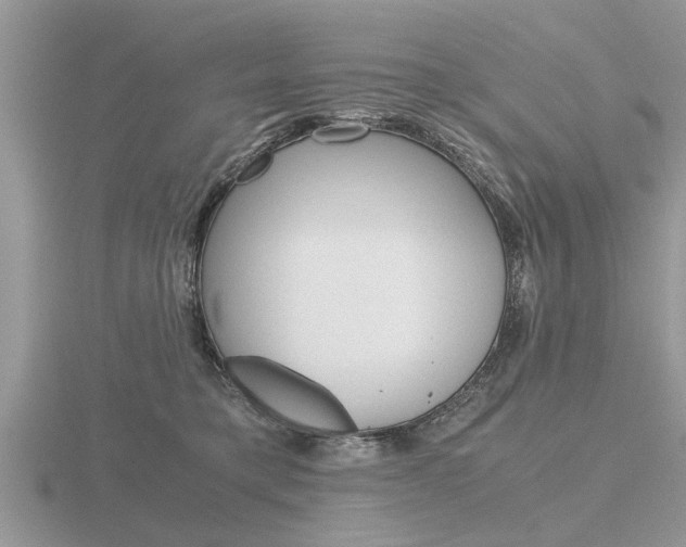 X0000116640421200912140949