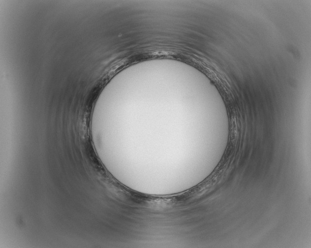 X0000116640422200912140949