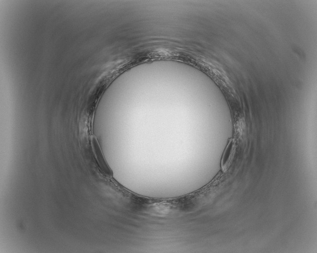 X0000116640423200912140949