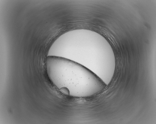 X0000116640424200912140949