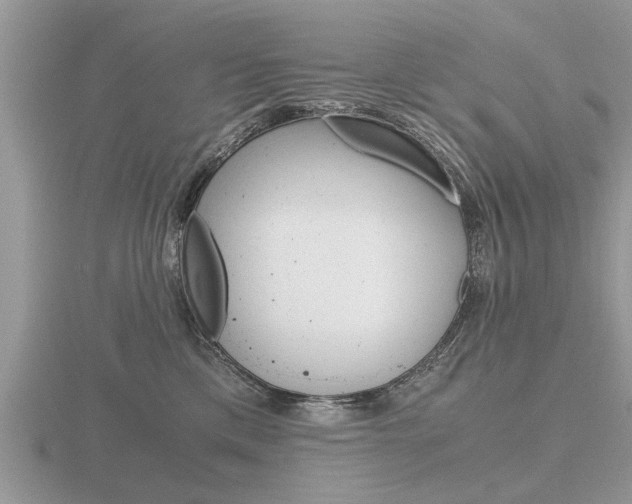 X0000116640425200912140949